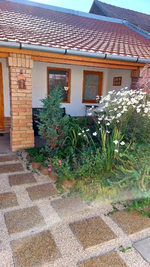 Mandula Apartman Szeged Exterior foto